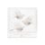 Talking Tables fugledekorasjoner m/honeycombs, 3 stk.