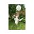 Stor ballong Love is in the air, hvit